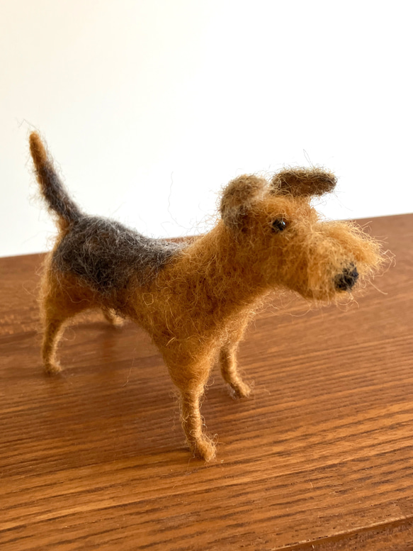 羊毛フェルト くー様確認用 ウェルシュテリア 犬 ハンドメイド オーダー