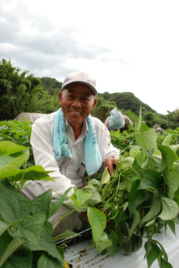 【送料無料！レターパックでお届け】野菜de野菜！ビタミンカラーの選べるミニドレ・ソース(ドレッシング）4本セット 9枚目の画像