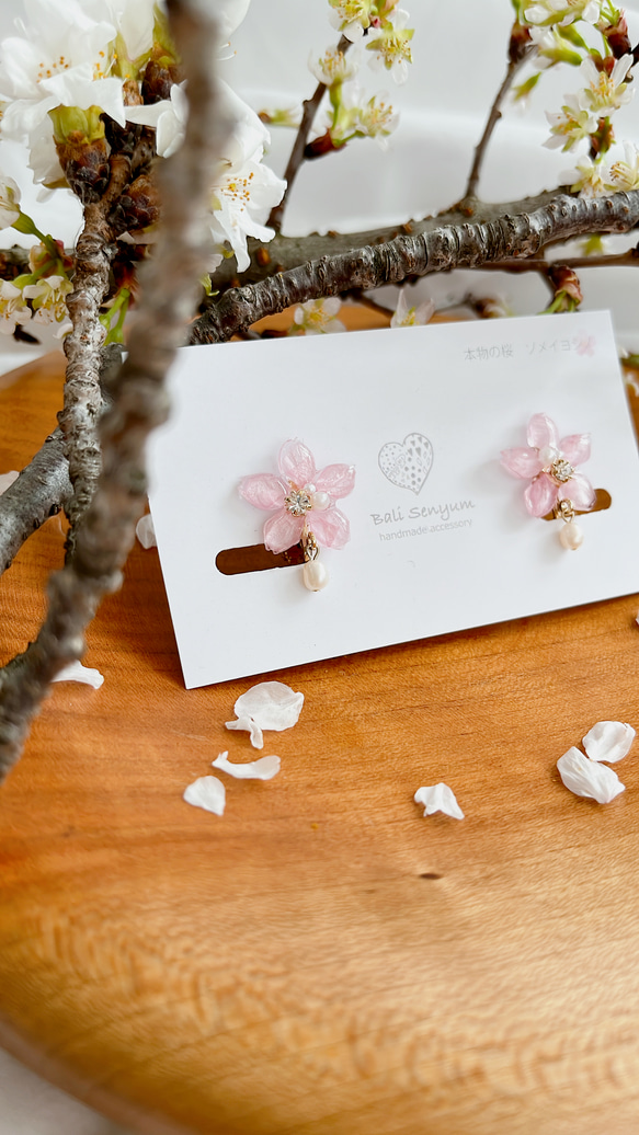 真正的櫻花和淡水珍珠耳環 Somei Yoshino 第19張的照片