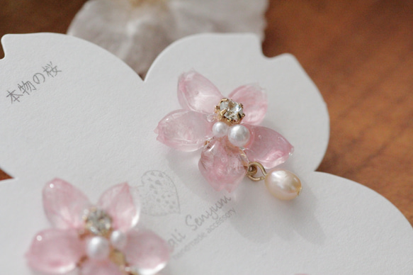 真正的櫻花和淡水珍珠耳環 Somei Yoshino 第12張的照片