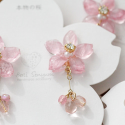 真櫻花和玻璃珠耳環 Somei Yoshino 第13張的照片