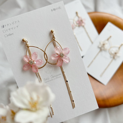 本物の桜と雫型　ピアス ソメイヨシノ 1枚目の画像