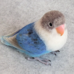 羊毛フェルト オカメインコ ノーマル オス オカメインコ ノーマル オス 1707201 羊毛フェルト Primary Color