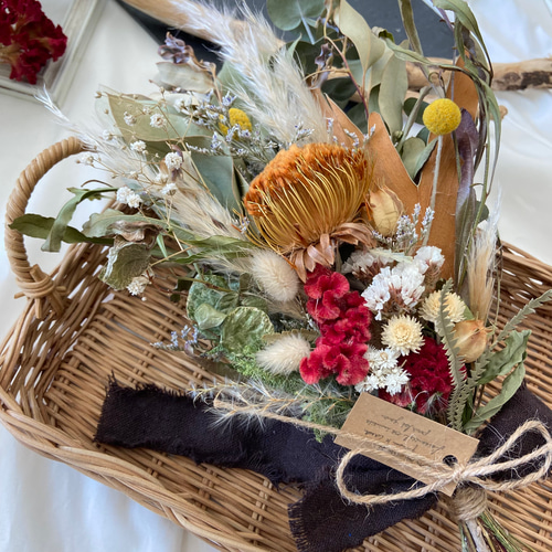 NEW/ドライアンドラ 赤ケイトウ ドライフラワースワッグ 秋冬