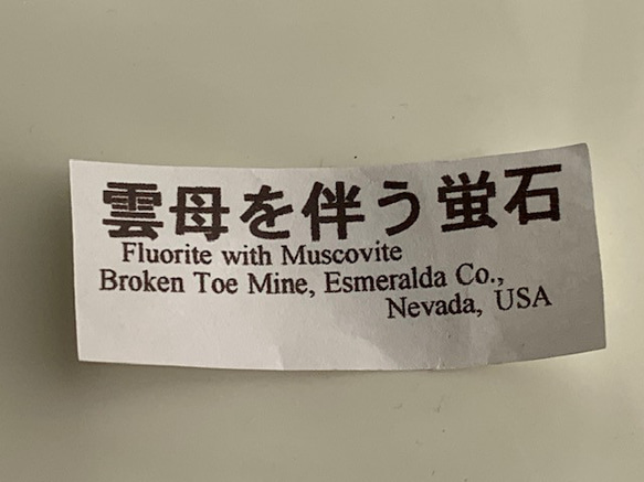 雲母を伴う蛍石 Fluorite with Muscovite 産地:アメリカ 4枚目の画像