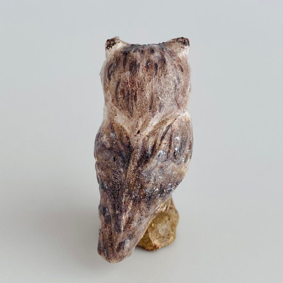 アフリカオオコノハズク（White-faced Scops Owl） 6枚目の画像