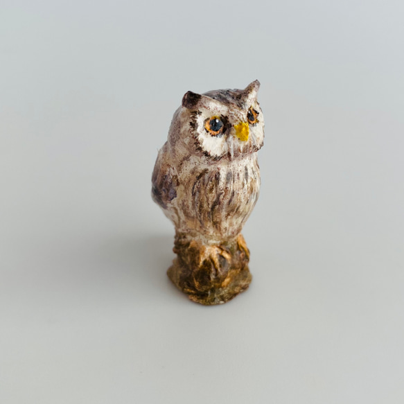 アフリカオオコノハズク（White-faced Scops Owl） 8枚目の画像