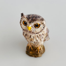 アフリカオオコノハズク（White-faced Scops Owl） 3枚目の画像