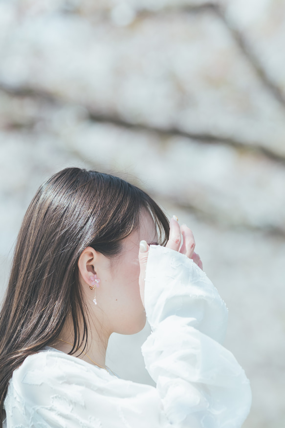 本物の桜　花びらゆらり　ピアス ソメイヨシノ 9枚目の画像