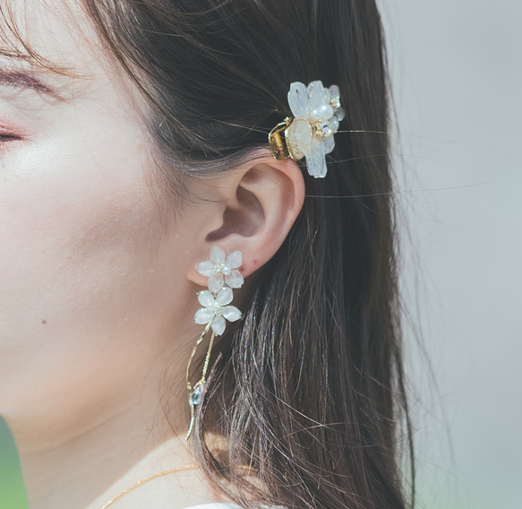 真正的櫻花和珠子，盛開的櫻花耳環，染井吉野 第6張的照片