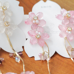真正的櫻花和珠子，盛開的櫻花耳環，染井吉野 第8張的照片