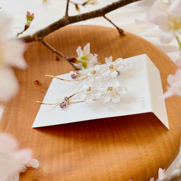 本物の桜とビーズ　満開桜ピアス ソメイヨシノ 11枚目の画像