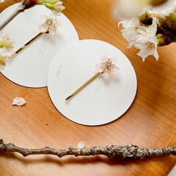 本物の桜とヘアピン　ソメイヨシノ 5枚目の画像