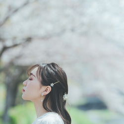 本物の桜とヘアピン　ソメイヨシノ 13枚目の画像