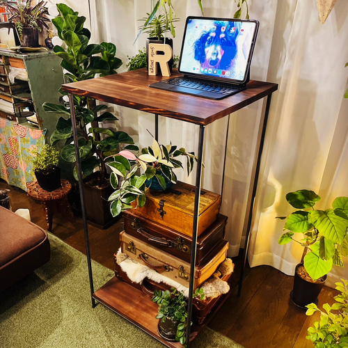 植物棚、高さ調整可能ダクトレール付！アイアンラック ハンドメイド