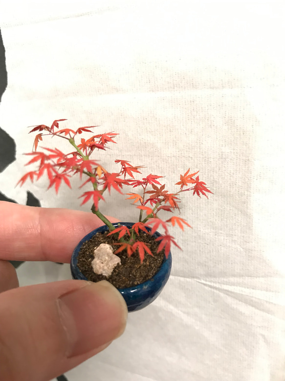 もみじの盆栽フィギュア　植木屋監修 2枚目の画像