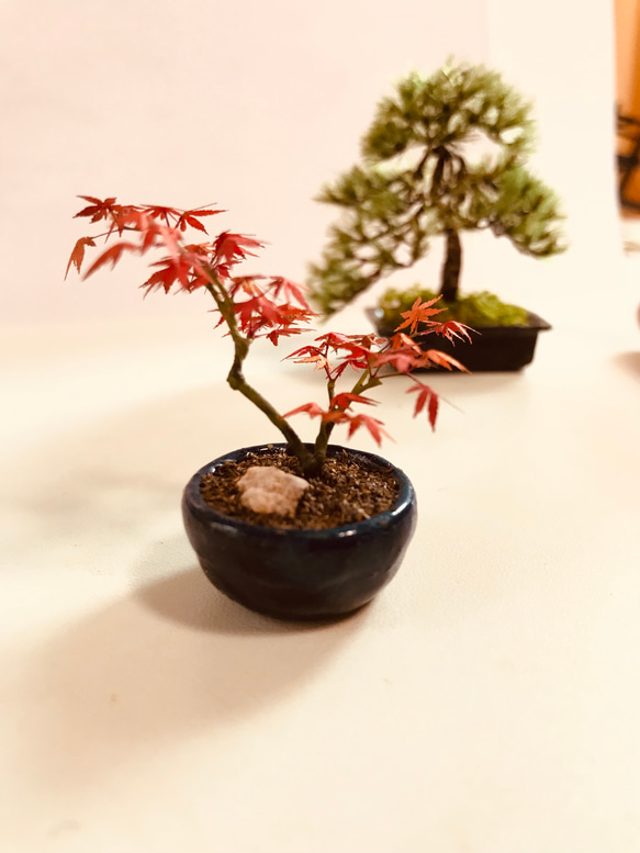 もみじの盆栽フィギュア　植木屋監修 3枚目の画像