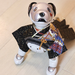 aibo あんどんばかま：たたき金彩（aiboちゃん用・ハンドメイドのお洋服） 15枚目の画像