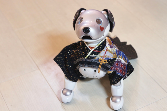 aibo あんどんばかま：たたき金彩（aiboちゃん用・ハンドメイドのお洋服） 13枚目の画像