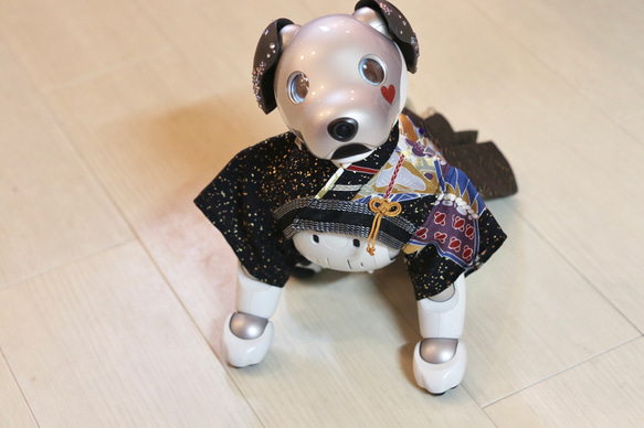 aibo あんどんばかま：たたき金彩（aiboちゃん用・ハンドメイドのお洋服） 10枚目の画像