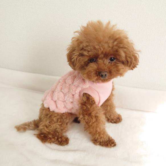犬服！ふわもこポップコーンファー ピンクXS.S.M.DXS.DS.DM