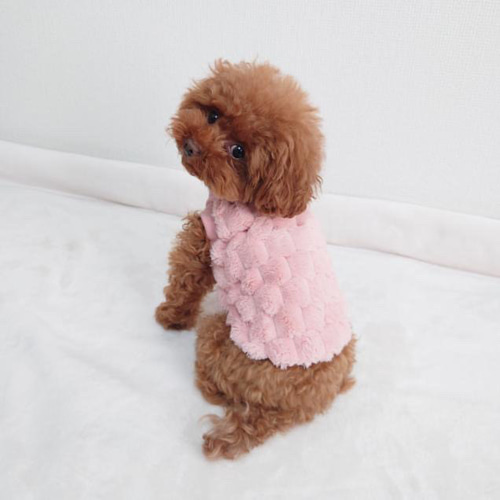 ピンクトイズ　犬娘 SALE50%OFF Sparkling DOG（スパークリングドッグ）QUEEN BEAR