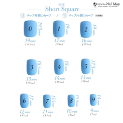 サイズ計測用ネイルチップ 4枚目の画像