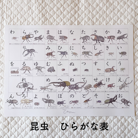 ⭐︎ まい プロフ見てね☺︎様 リクエスト 2点 まとめ商品 NEWS