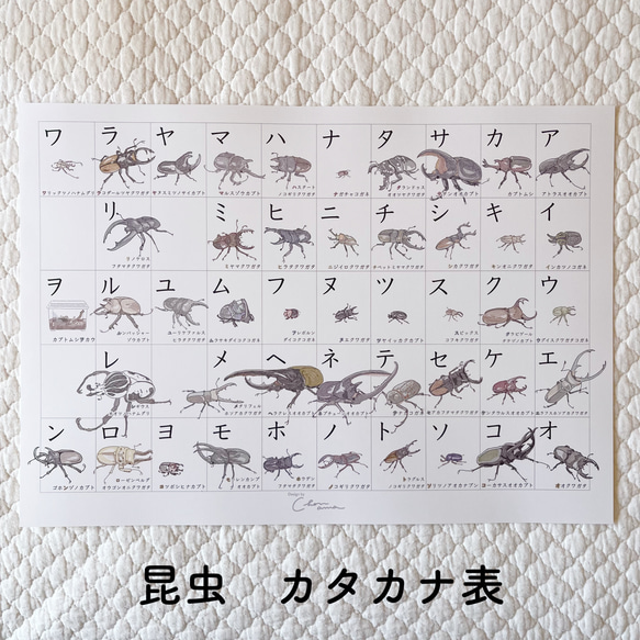 インテリアに馴染む やさしい昆虫【カタカナ表】 A3ポス ター 雑貨 