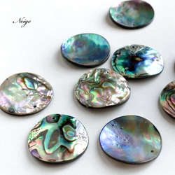 ヴィンテージセット アバロンシェル 鮑貝熱帯魚ブローチ ベルギー雛の水遊びリボン ヴィンテージ》アバロンシェル ブローチ パウア貝 虹色 アワビ貝