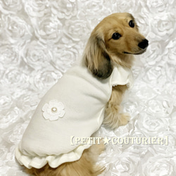 犬服 イタグレ のおすすめ人気通販 検索結果｜Creema(クリーマ