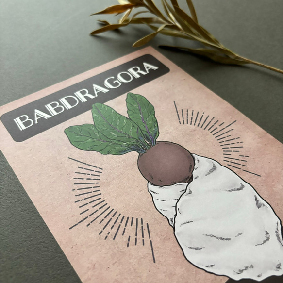 BABDRAGORA　レターセット 3枚目の画像