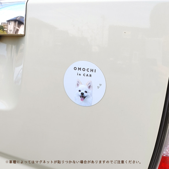 カーマグネット 丸型 ペット 犬 猫 ハムスター うさぎ うちの子 メモリアル グッズ オリジナル デザイン料・送料無料 4枚目の画像