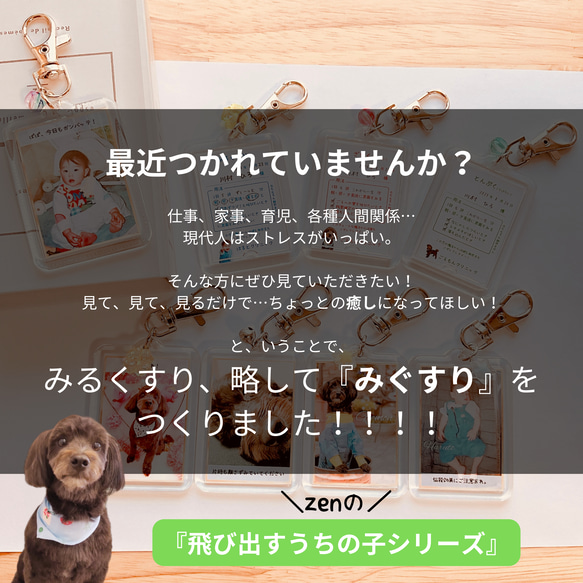 『みぐすり』【今だけ】チャーム無料！zenの飛び出すうちの子シリーズ！世界に1つだけ！フォトキーホルダー お薬ver. 2枚目の画像