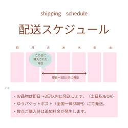 リカちゃん　初めてドレス3点セット　ハンドメイド服　ドール服　人形服　ドールドレス　ドレスセット・ピンクver 15枚目の画像