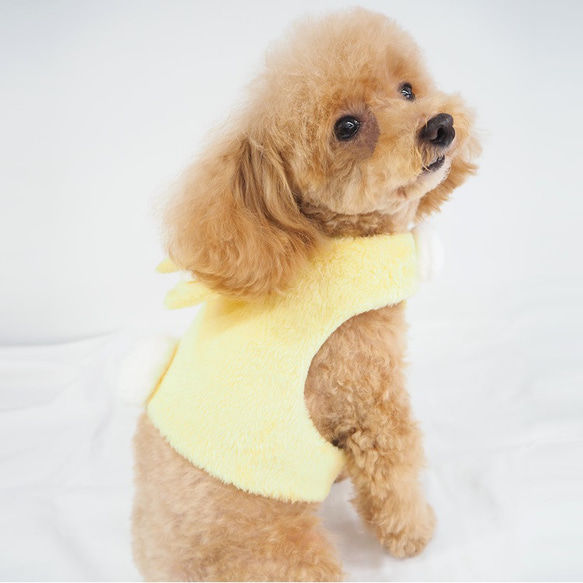 ハーネス 胴輪 洋服みたいなハーネス お揃い 散歩 お出掛け 犬 猫 ペット P696 P697 P698 P699 15枚目の画像