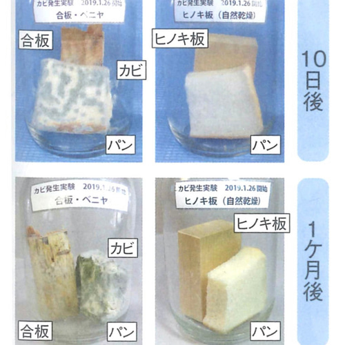 空気を綺麗にする絵本棚 ひのき 桧 ブックシェルフ 無垢材家具 本棚 