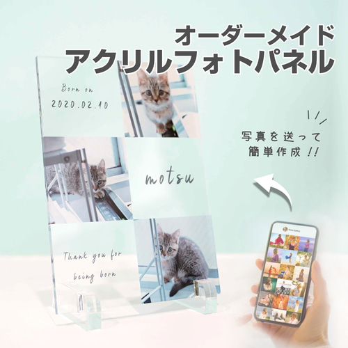 ペット イヌ 犬 猫 ネコ インスタ お迎え お迎え記念 メモリアル 位牌