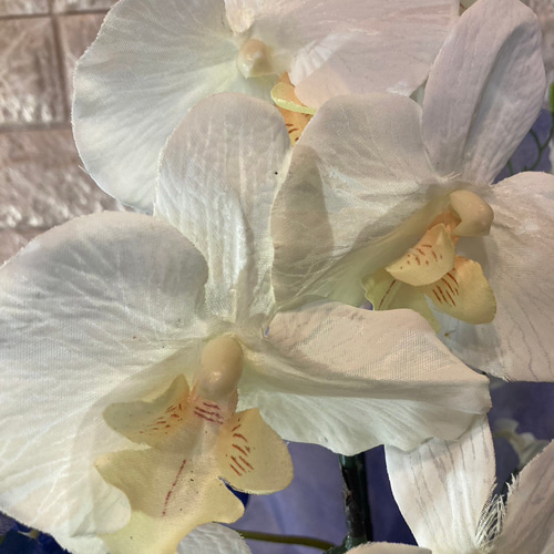 光触媒 人工観葉植物 ウォールグリーン フェイクグリーン 胡蝶蘭と