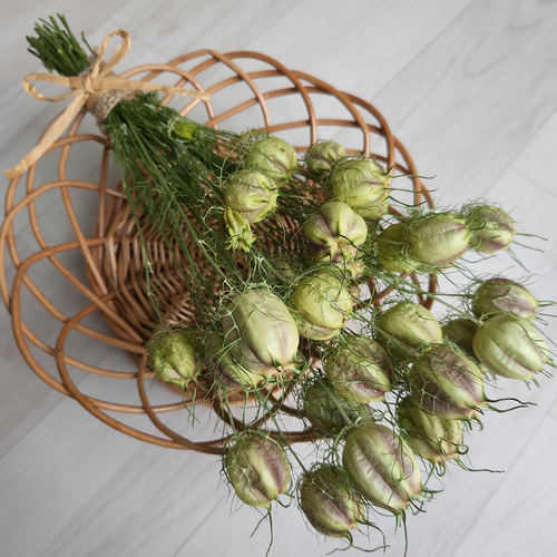 ニゲラ ドライフラワー リースガーランドスワッグ素材に♪ ドライ