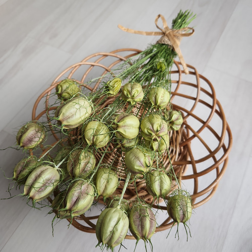 ニゲラ ドライフラワー リースガーランドスワッグ素材に♪ ドライ  