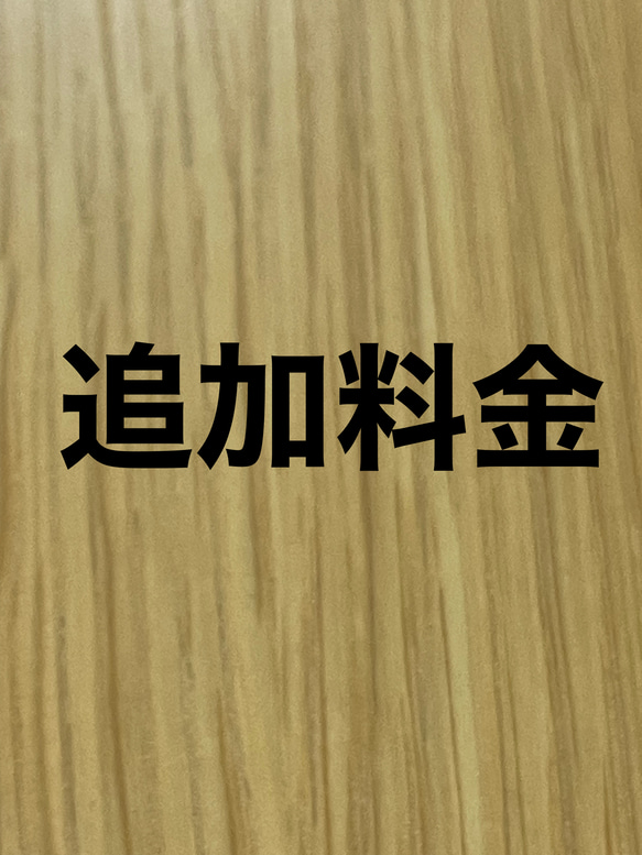 追加料金 1枚目の画像