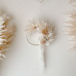 パンパスグラスと小花のハーフリース　　ホワイトゴールド　冬　クリスマス　ドライフラワー　 2枚目の画像