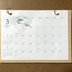 2024年　野鳥の卓上カレンダー（手書き） 3枚目の画像