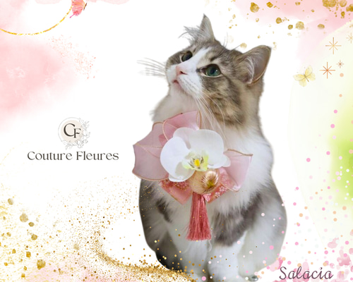 a865e632adac1cb40b4afba02f3b01