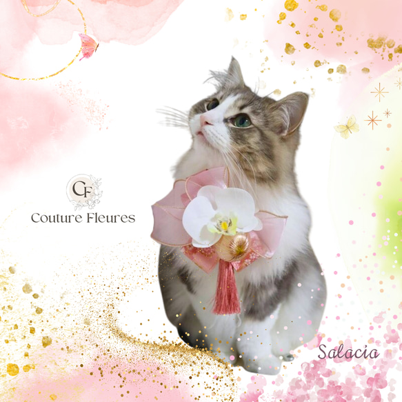 OPENセール・ピンクのお正月 ペットチョーカー/ 犬・猫フラワー