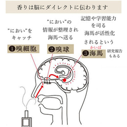 【再販】FOOD系香水　瑞桃　30ml　成果の再現　香水　女性用香水　和香水　モテ香水 12枚目の画像