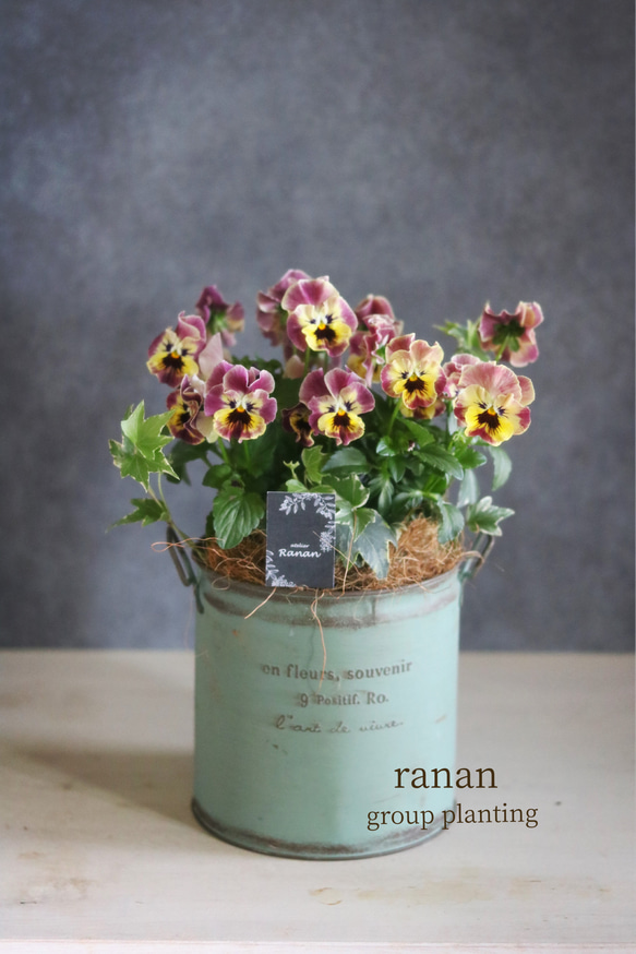 ◆ハーバリウム　183 フリルパンジーと春のお花*.:。✿*゜¨ ◇ハーバリウム 183 フリルパンジーと春のお花*.:。✿*゜¨