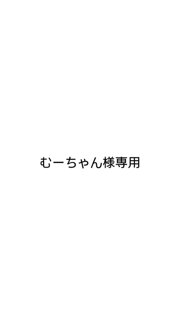 むーちゃん様専用 1枚目の画像