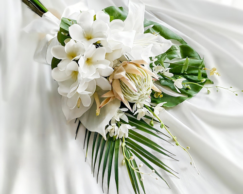 ed5e456647daa3cd8e4886a37ce88f